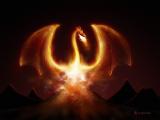 Fire dragon